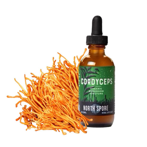 Organic Cordyceps Mushroom Tincture
